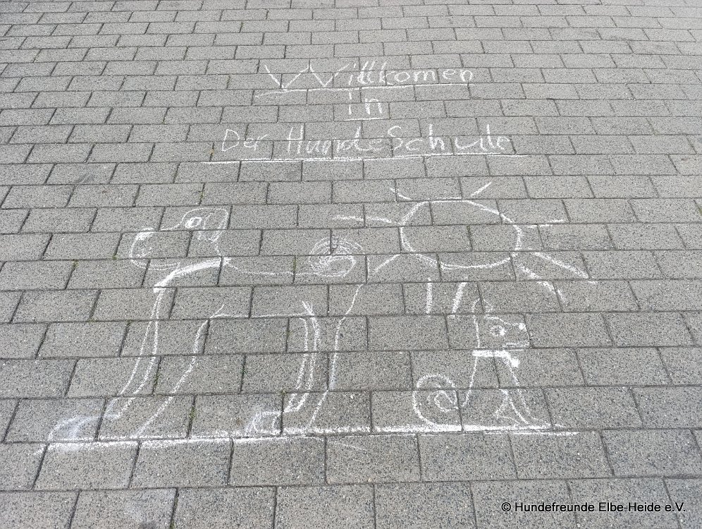 2025-08-02 Sommerfest u. 10. Geb 01
