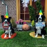 Sommerfest August 2025 und 10 Jahre Hundefreunde