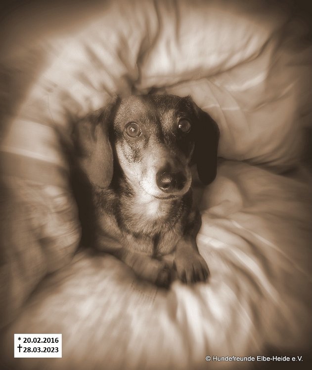 Oona